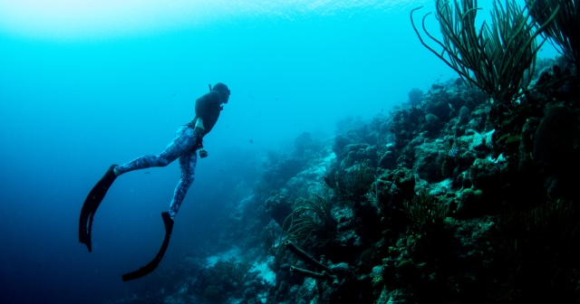 two divers under water